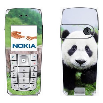   «  »   Nokia 6230, 6230i