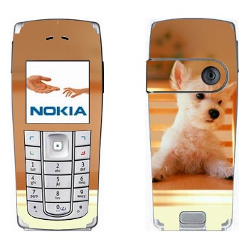   «  »   Nokia 6230, 6230i