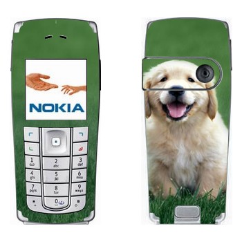   «  »   Nokia 6230, 6230i