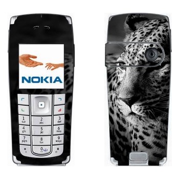   « »   Nokia 6230, 6230i