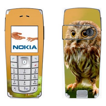   «  »   Nokia 6230, 6230i