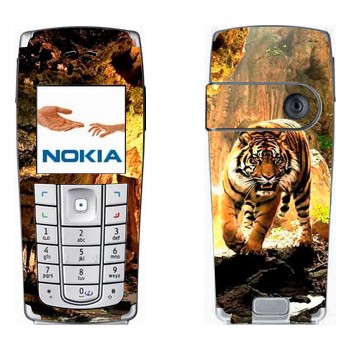   « »   Nokia 6230, 6230i