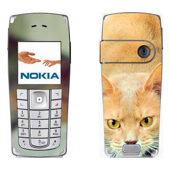   «  »   Nokia 6230, 6230i