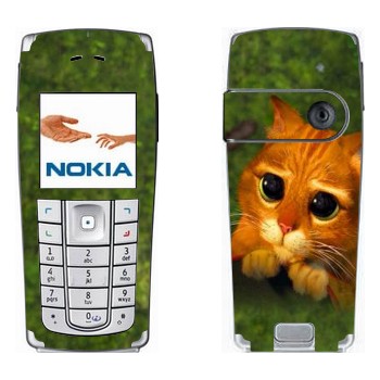   «    »   Nokia 6230, 6230i