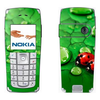 Nokia 6230, 6230i