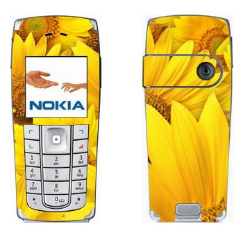 Nokia 6230, 6230i