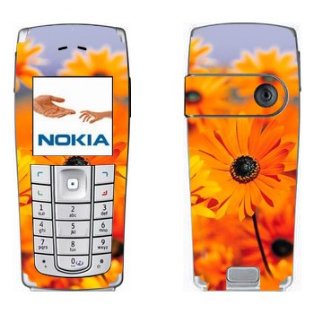   «  »   Nokia 6230, 6230i