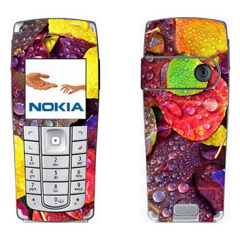 Nokia 6230, 6230i