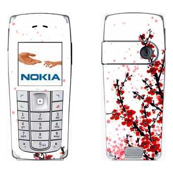   «  »   Nokia 6230, 6230i