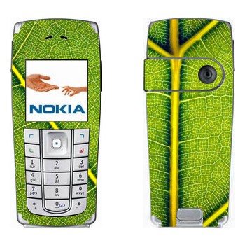   « »   Nokia 6230, 6230i