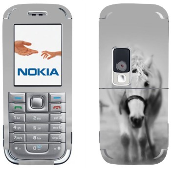 Nokia 6233