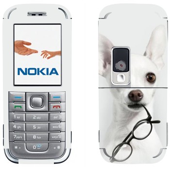 Nokia 6233