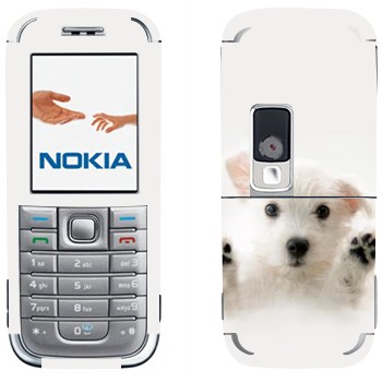 Nokia 6233