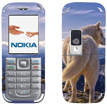 Nokia 6233