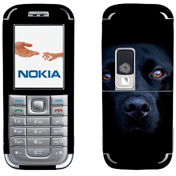 Nokia 6233