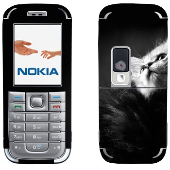 Nokia 6233