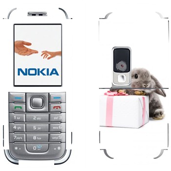 Nokia 6233