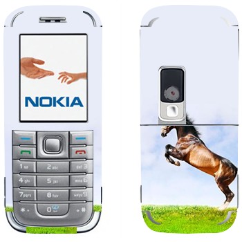 Nokia 6233