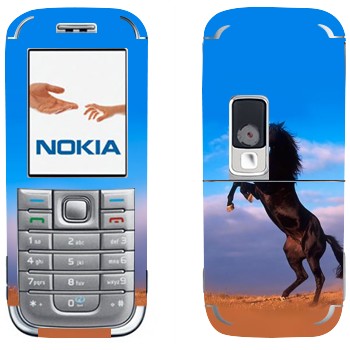   «  »   Nokia 6233