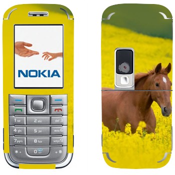 Nokia 6233