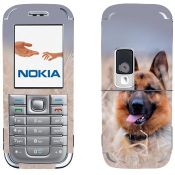 Nokia 6233