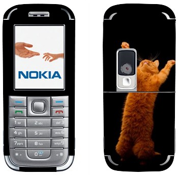   «     »   Nokia 6233