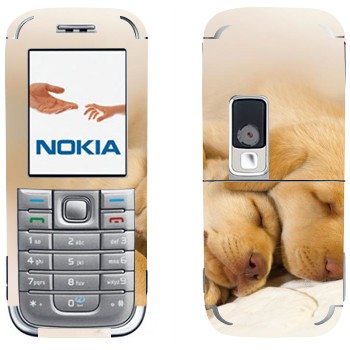 Nokia 6233