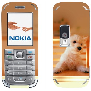   «  »   Nokia 6233