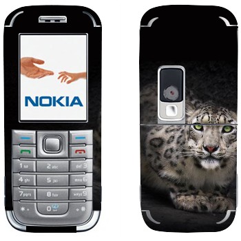 Nokia 6233