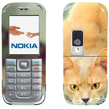 Nokia 6233