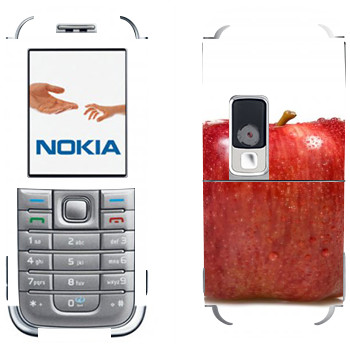 Nokia 6233