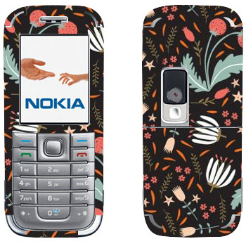 Nokia 6233