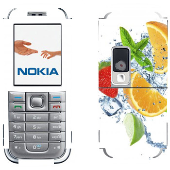 Nokia 6233