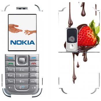 Nokia 6233