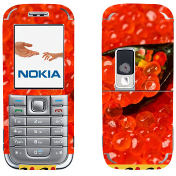 Nokia 6233