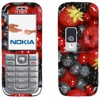 Nokia 6233