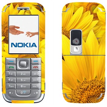 Nokia 6233