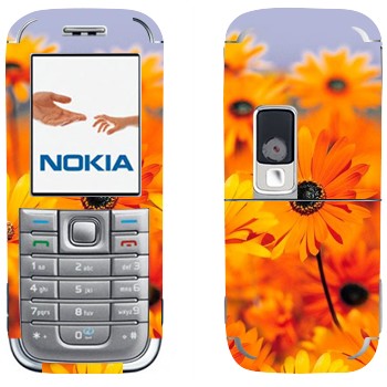 Nokia 6233