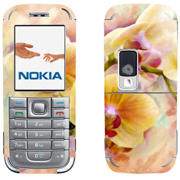   «»   Nokia 6233