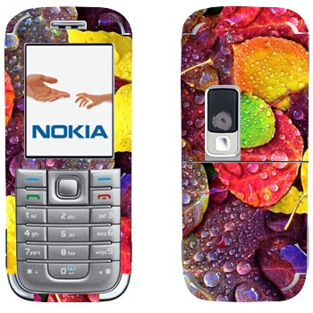 Nokia 6233