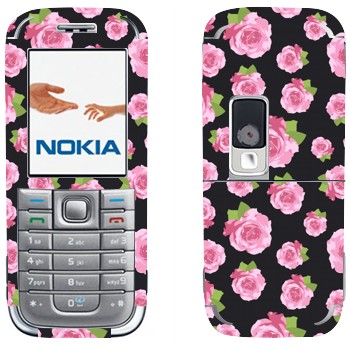 Nokia 6233