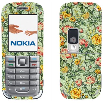 Nokia 6233