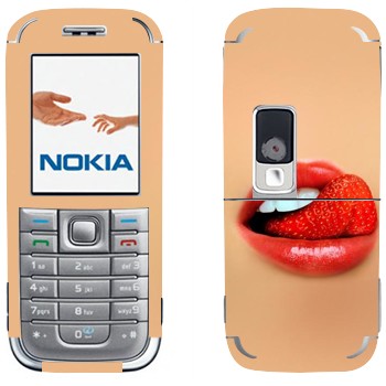 Nokia 6233