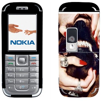 Nokia 6233