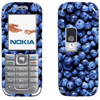 Nokia 6233