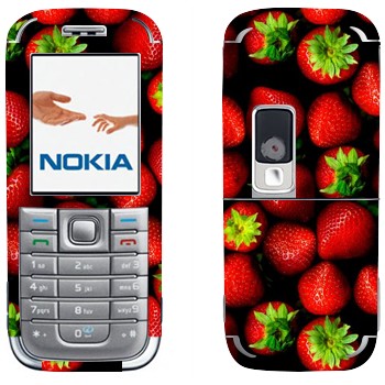 Nokia 6233