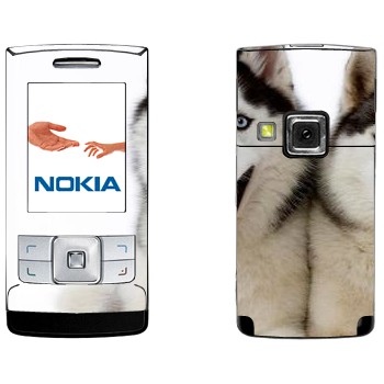   « »   Nokia 6270