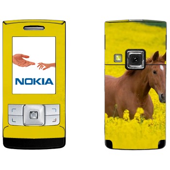   «  »   Nokia 6270