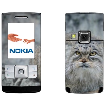   «»   Nokia 6270