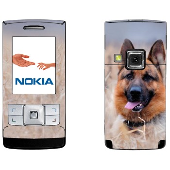   «  »   Nokia 6270